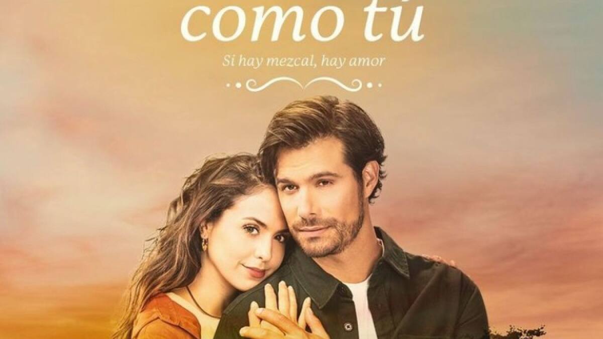 “Nadie como tú”: Dónde y cuándo ver la telenovela protagonizada por Karla Esquivel y Brandon Peniche