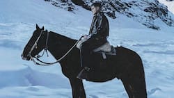 Desde los $11.000: ¿Cómo se ve el escenario desde las nuevas localidades habilitadas para conciertos de Kidd Voodoo en Movistar Arena?