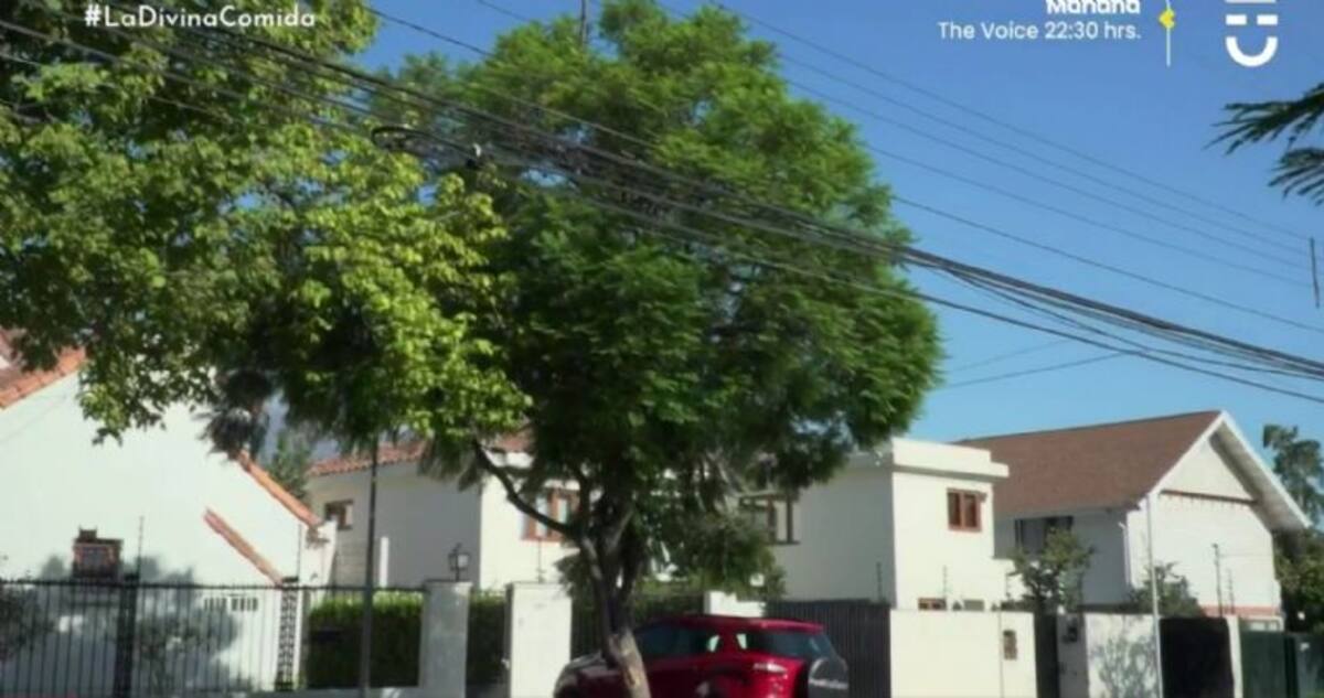 Créditos: Reproducción