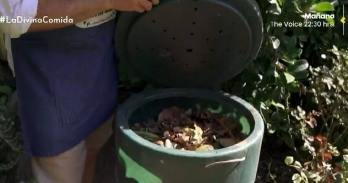 Créditos: Reproducción