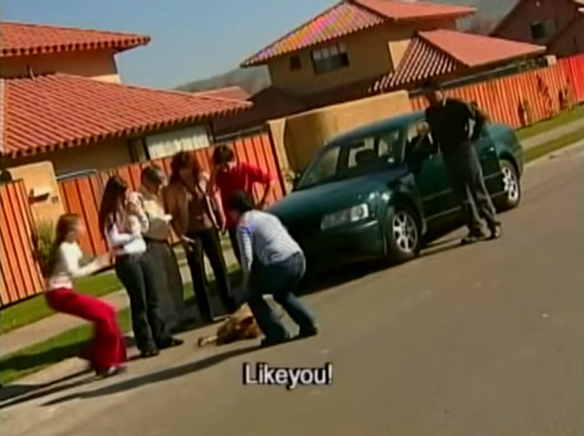 La muerte de Como Tú causó fue protagonizado por un perro adiestrado de Carabineros.