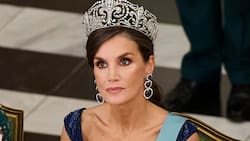 Conoce cuánto dinero gastó la reina Letizia en ropa durante el 2023