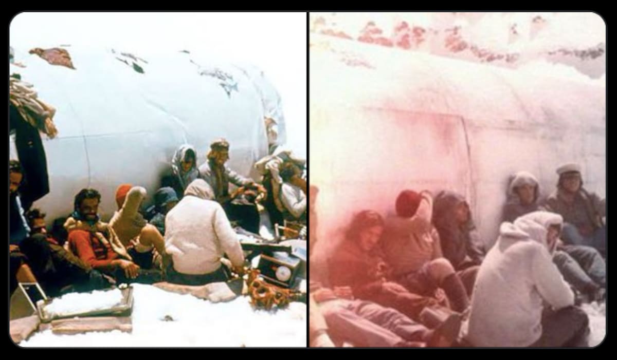 Imagen real y adaptación de "La Sociedad de la Nieve".