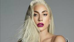 Lady Gaga se niega a pagar recompensa a la mujer que recuperó a sus perros