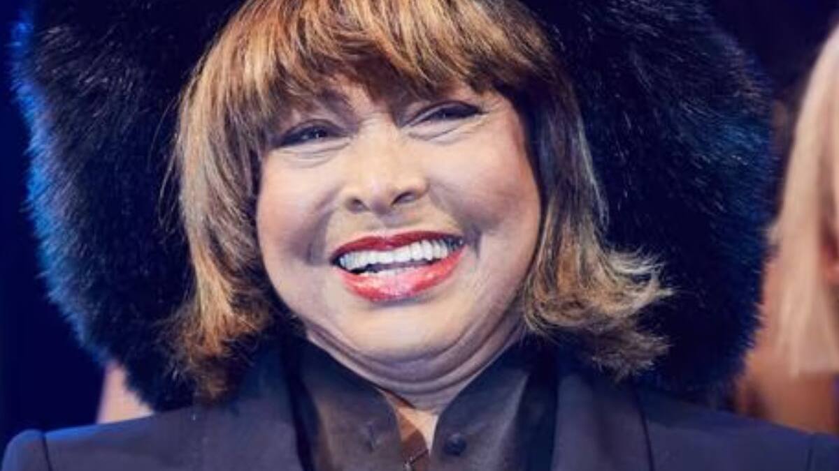 Lo que debes saber de los herederos de Tina Turner