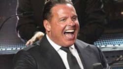 Temporada final de "Luis Miguel, la serie" muestra la etapa de decadencia del "Sol"