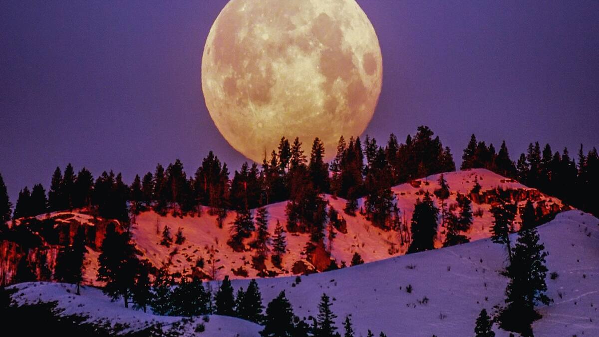 Luna Llena: Descubre aquí qué es y por qué es tan importante según la Astrología
