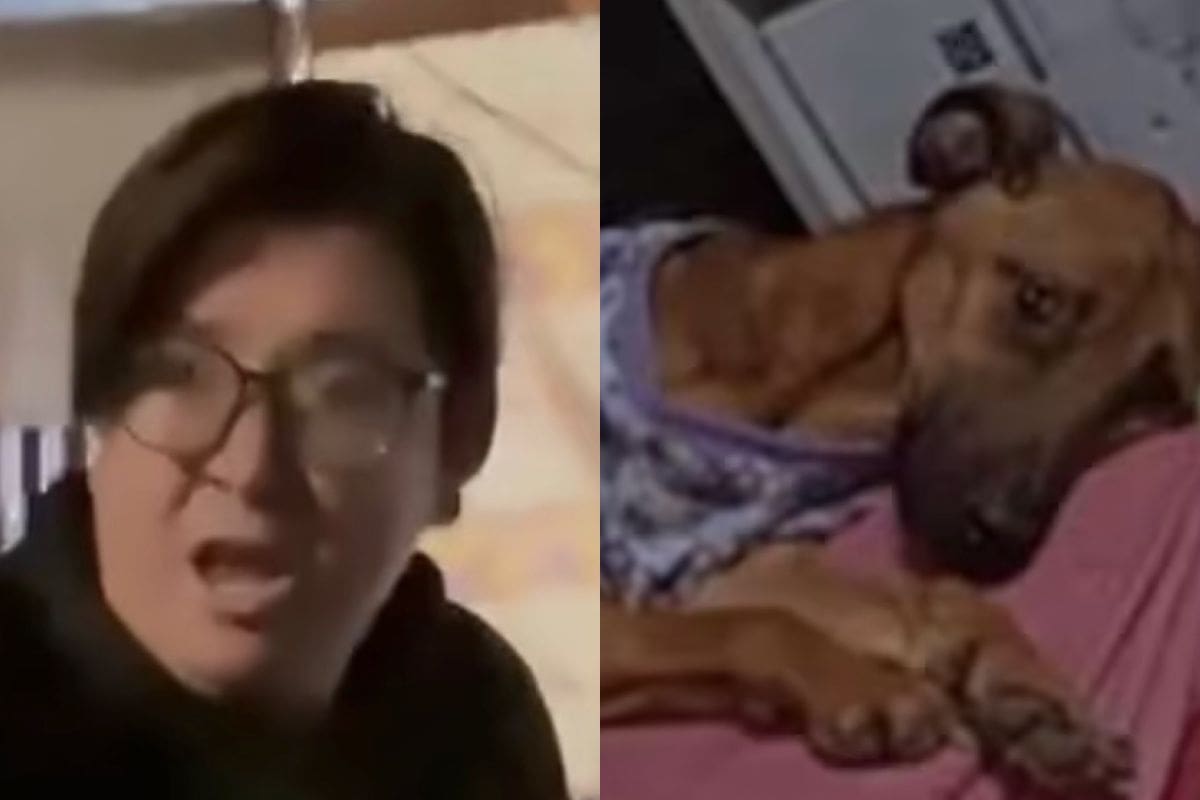 Viralizado por maltrato animal.
Foto: Instagram