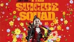 Aunque brilla en "The Suicide Squad", Margot Robbie dejará el papel de villana