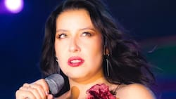 ¿Por qué María José Quintanilla no estará en Viña 2026? Experto apuntó contra un supuesto culpable