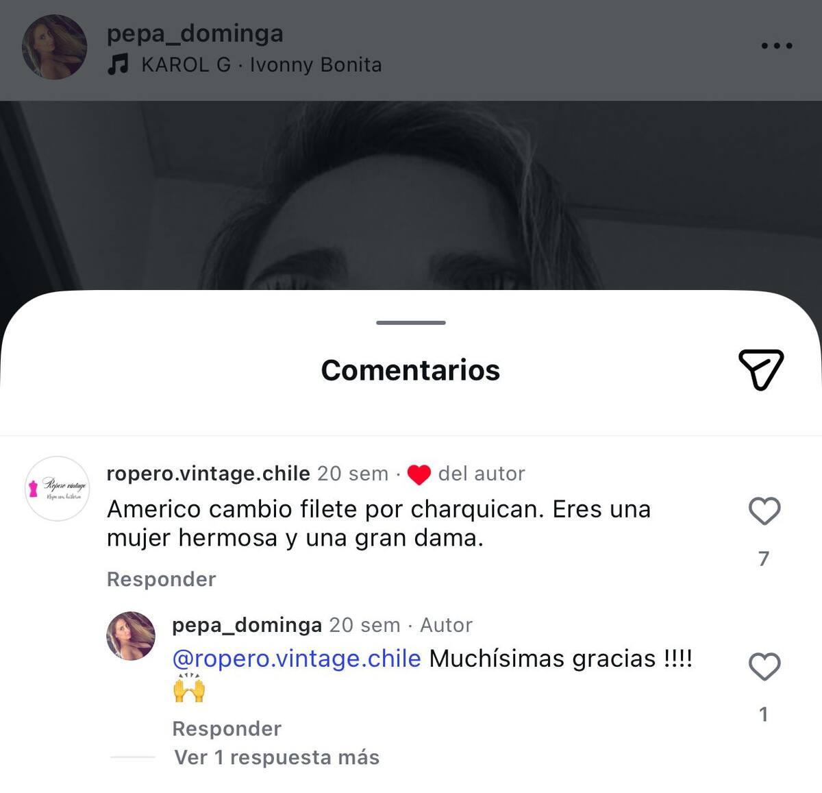 Post de Instagram.
Foto: Instagram @pepa_dominga