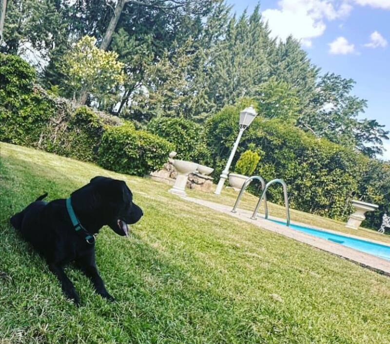 Mascota de la hija de Camilo Sesto