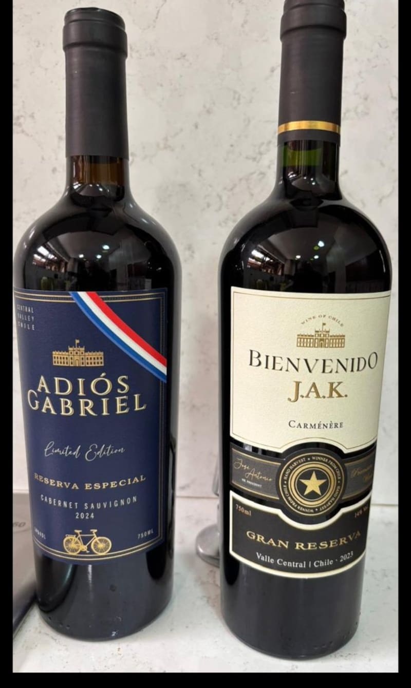 Los memes que marcaron la elección presidencial 2026.