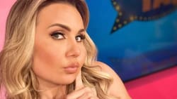 Michelle Vieth anuncia demanda contra su ex Héctor Soberón y así reacciona el actor