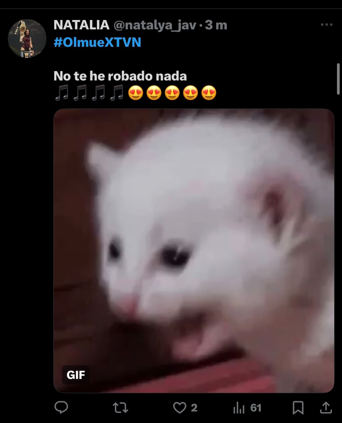 La cantante encantó en el Patagual.