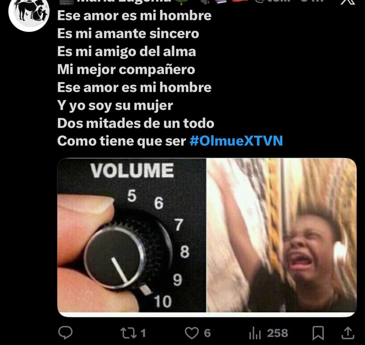 La cantante encantó en el Patagual.