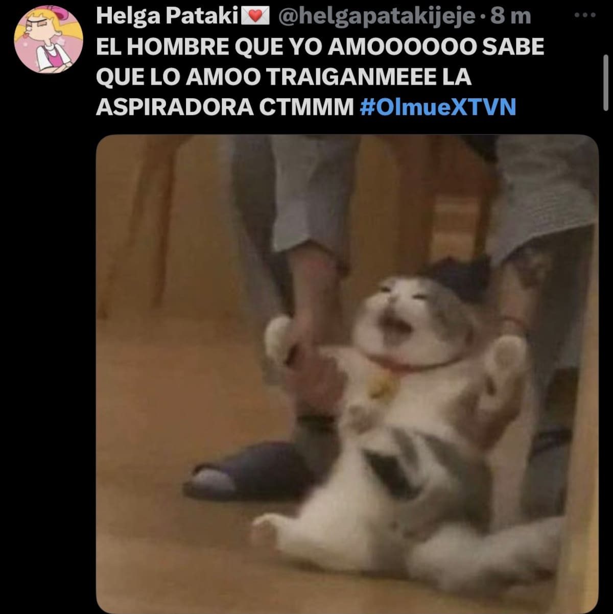 La cantante encantó en el Patagual.