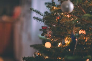 ¿Dónde es mejor poner el árbol de Navidad? Esto dice el Feng Shui