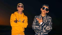 “Baby Bandito”: Quiénes interpretan las canciones de la banda sonora de la serie chilena de Netflix