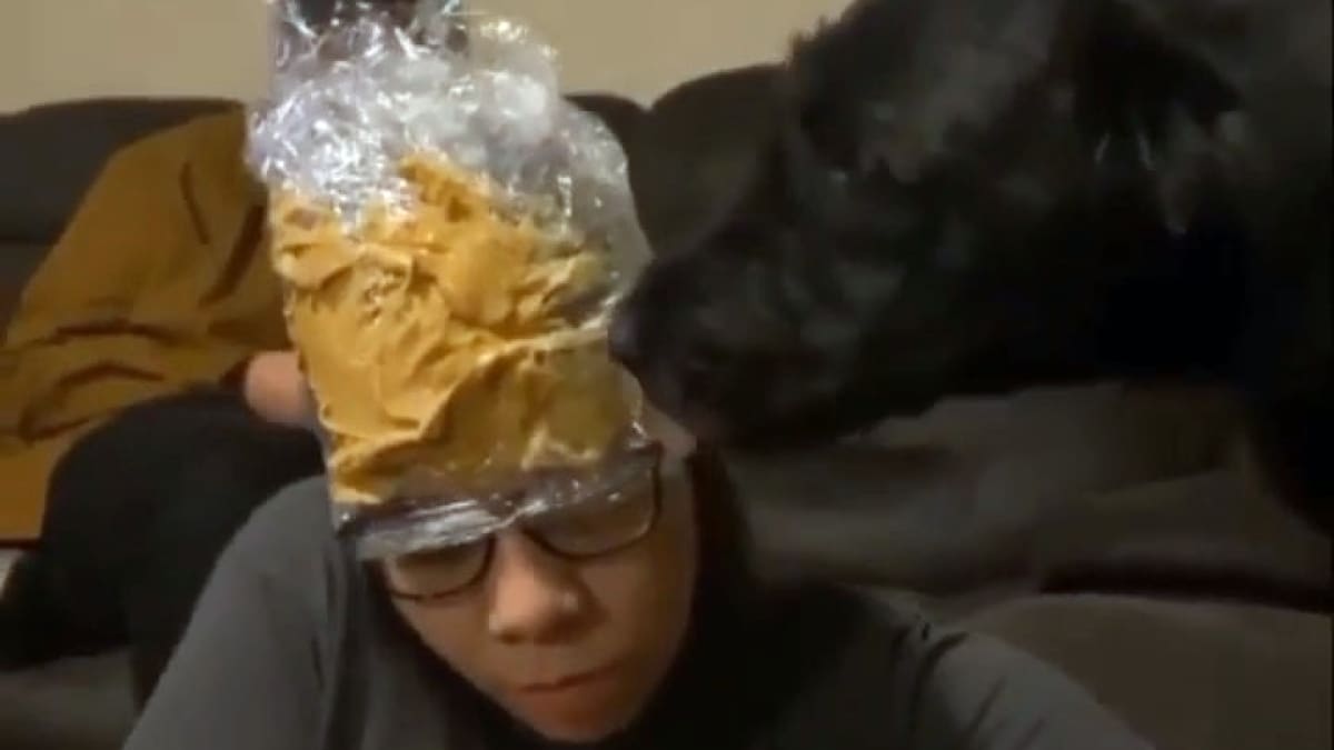 VIDEO: A perro le cortan las uñas distrayéndolo con un gorro de crema de maní