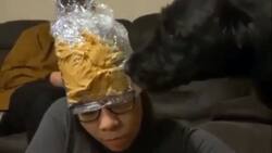 VIDEO: A perro le cortan las uñas distrayéndolo con un gorro de crema de maní