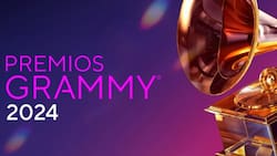 Los artistas que se presentarán en los Premios Grammys 2024