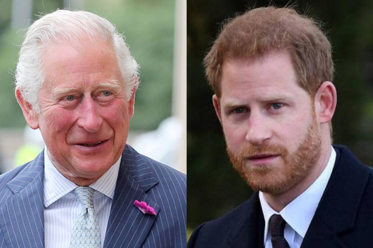 Príncipe Carlos y Príncipe Harry - Créditos: