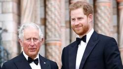 El príncipe Harry habría denunciado a la Familia Real de violar su privacidad