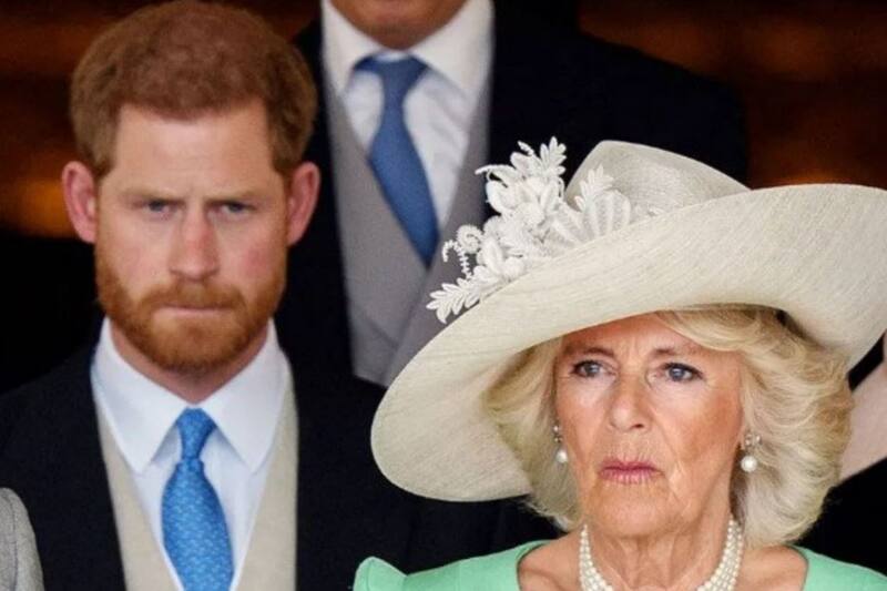 Príncipe Harry Crece la tensión sobre cómo será su encuentro con la reina Camilla - Créditos: Instagram
