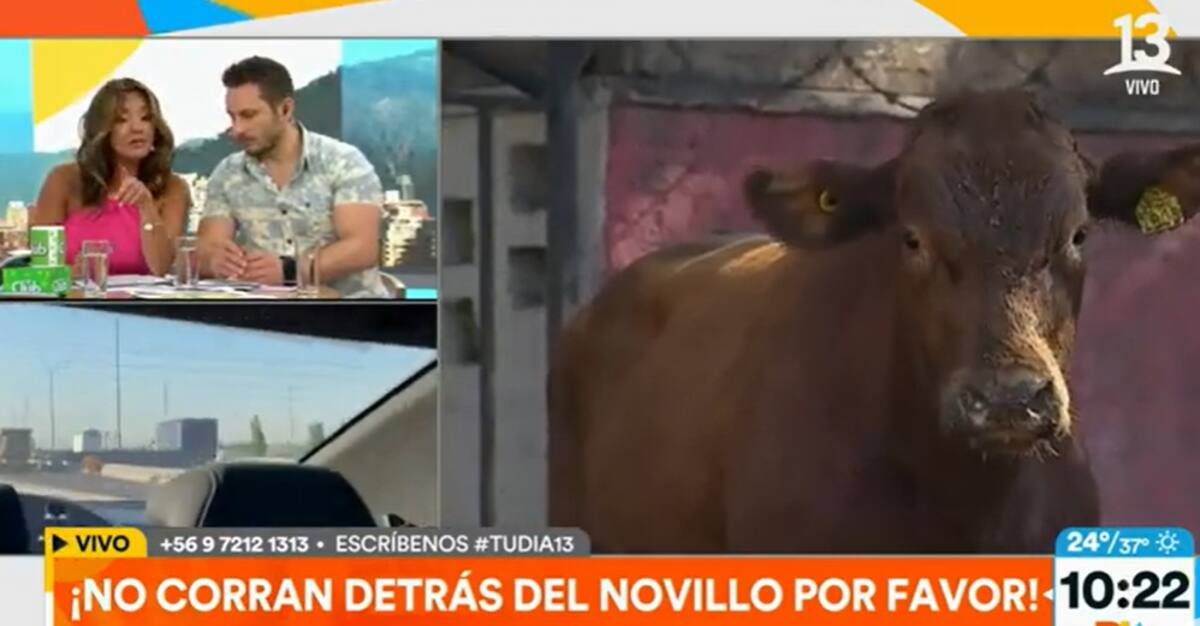 Priscilla Vargas se lanzó contra Gino Costa. Créditos: Pantallazo Canal 13