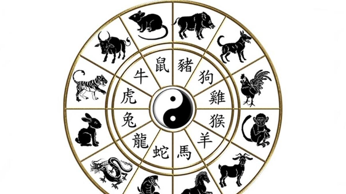 Parte 1: ¿Sabes qué animal del horóscopo chino eres?