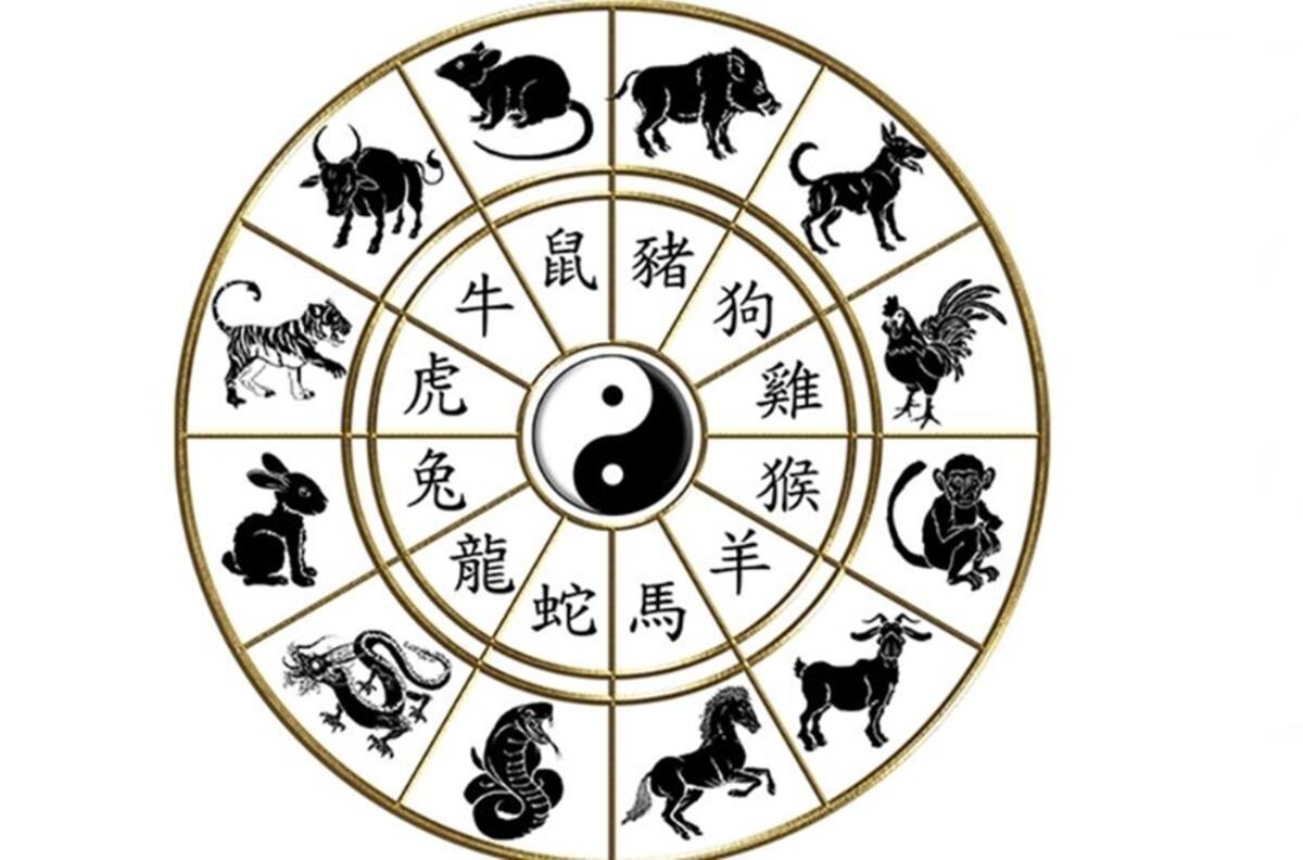 Parte 1: ¿Sabes qué animal del horóscopo chino eres?