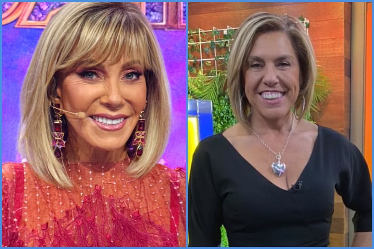 El violento round entre las animadoras desde la visión de Luis Jara. Foto: Instagram.