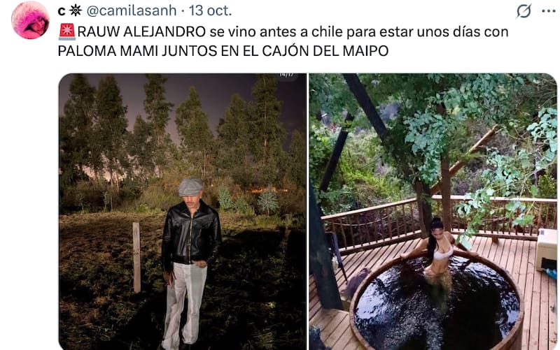 Aseguran que los artistas estarían en una relación.