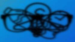 Acertijo visual: Identifica los objetos que hay en la imagen