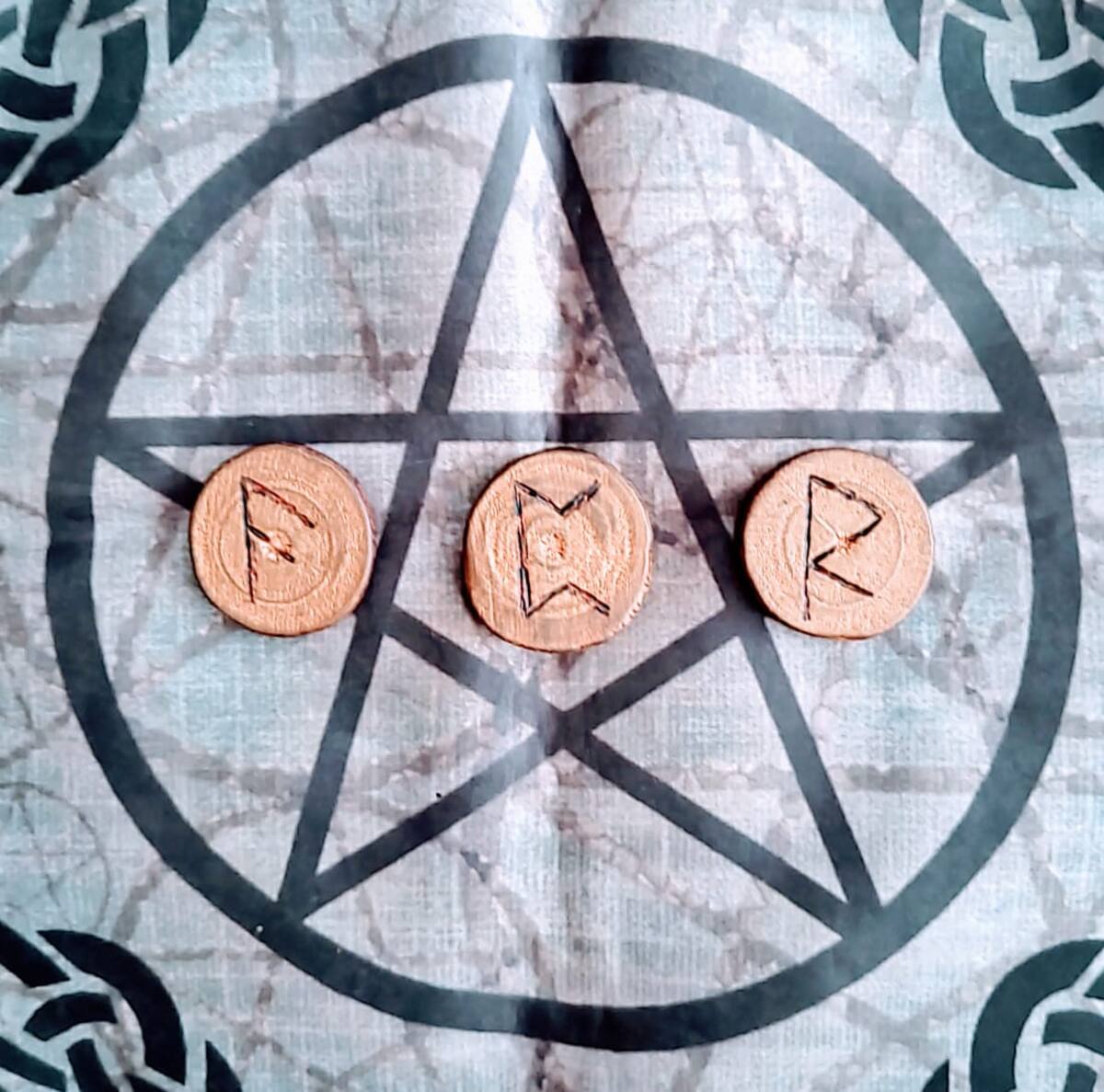 ¿Cuál de todas elegiste?