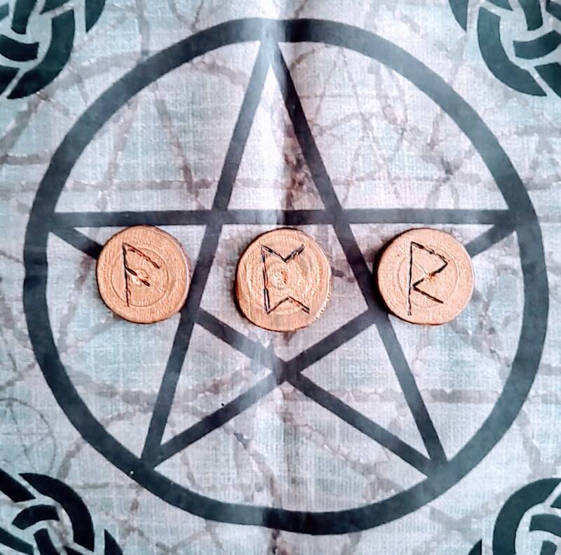 ¿Cuál de todas elegiste?