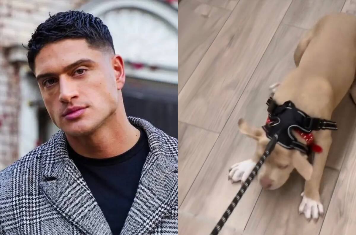 VIDEO | “Eso es maltrato” y “¿Para qué tiene perros?”: Sammis Reyes recibe ola de críticas por trato a su mascota