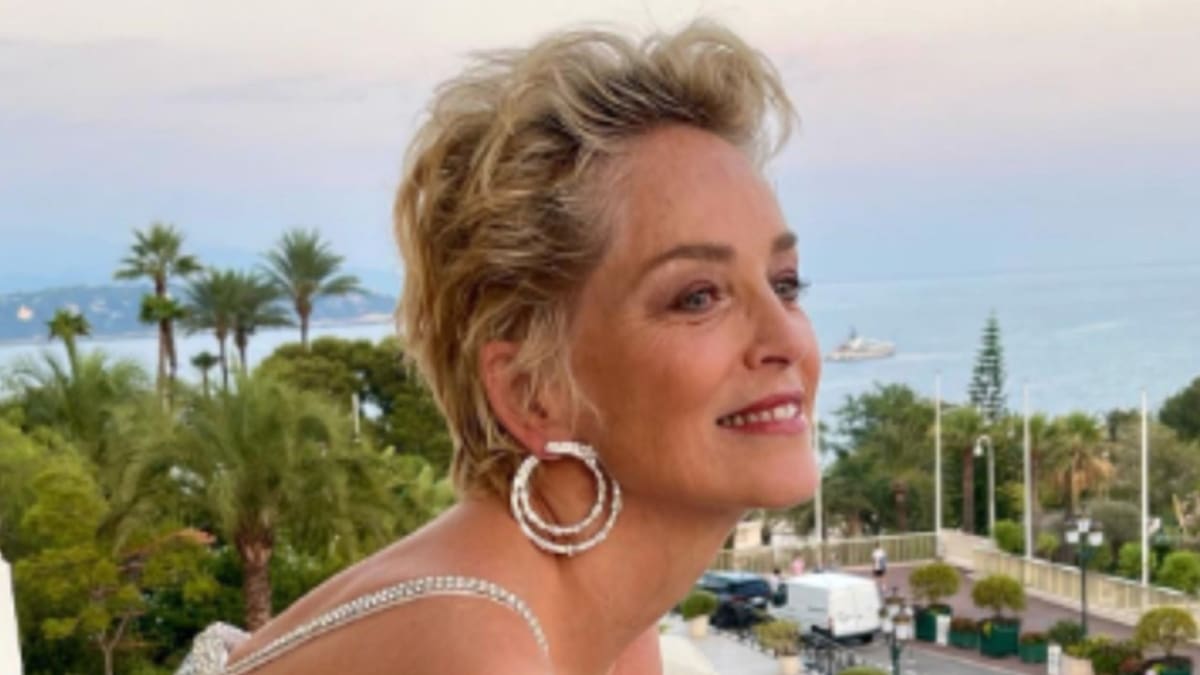 Sharon Stone: el motivo por el que no tuvo hijos y crió a los que adoptó cómo madre soltera