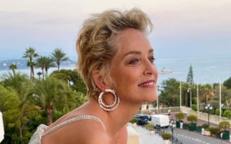 Sharon Stone Por qué no tuvo hijos - Créditos: Instagram