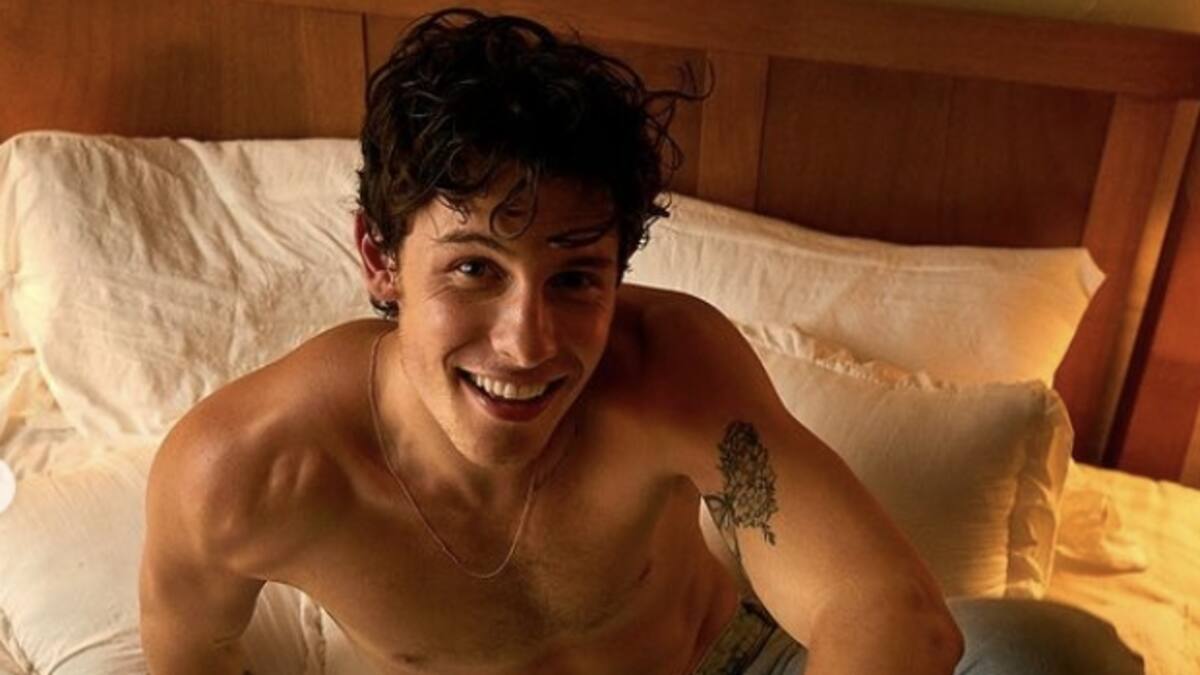 Nick Jonas imita a la perfección a Shawn Mendes cantando en el baño