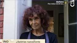 Con una “pequeña selva” y una gran colección de libros: Conoce la acogedora casa de Shlomit Baytelman