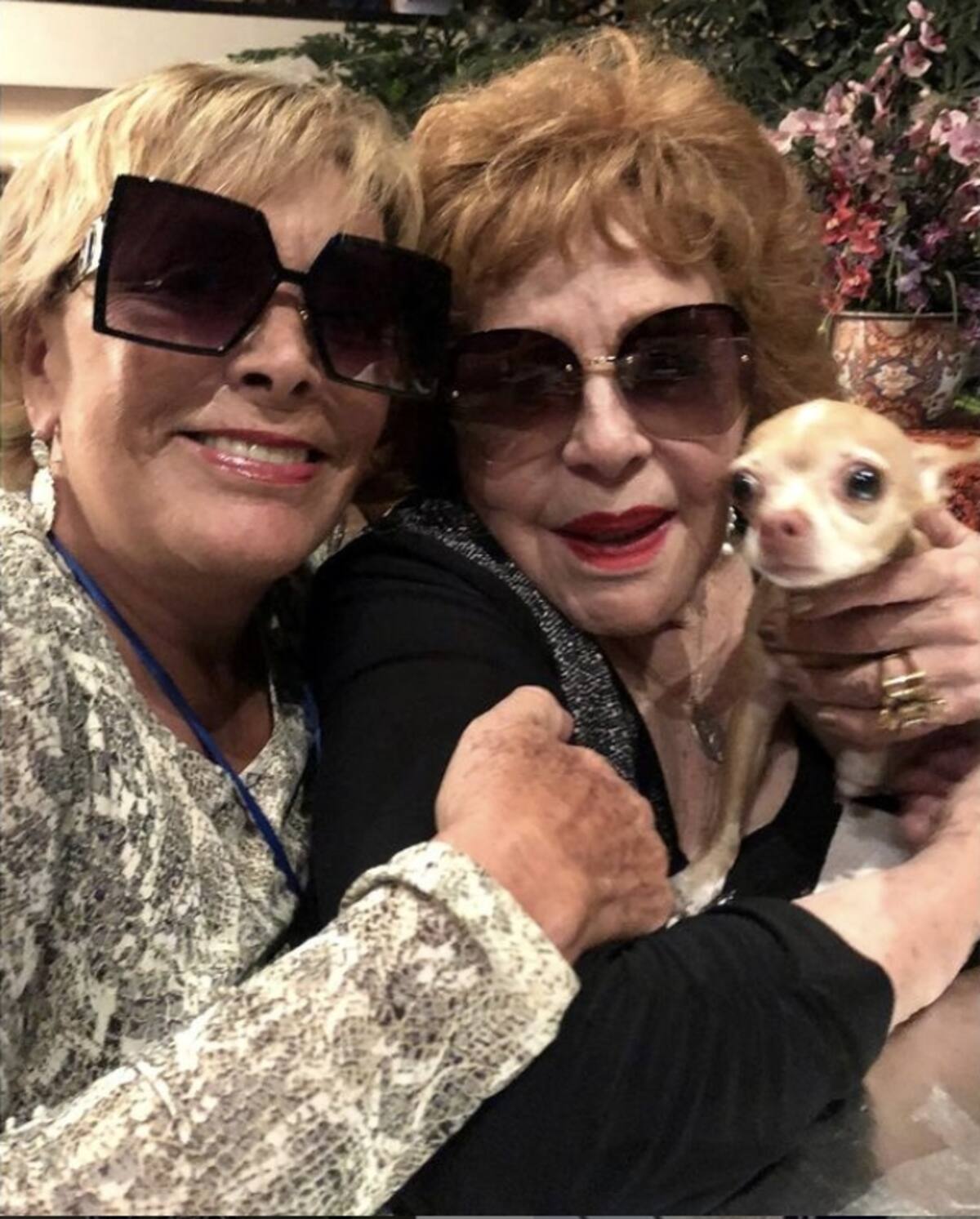 Silvia Pinal será demandada Madre e hija estuvieron varios años distanciadas debido al amor de un hombre. - Créditos: Instagram @sylviapasqueloficial