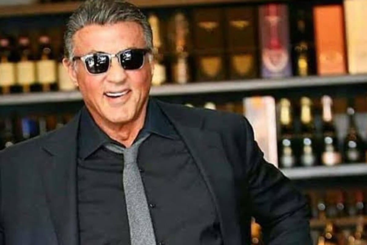 Sylvester Stallone En la cinta también han actuado Arnold Schwarzenegger, Bruce Willis, Jean-Claude Van Damme, Chuck Norris, Mel Gibson y Harrison Ford - Créditos: Instagram @allstallone