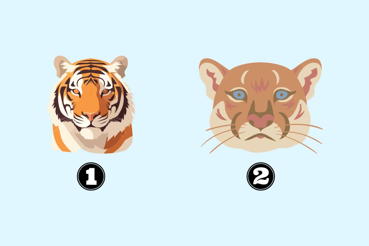 ¿Qué dice de ti el animal que elijas?