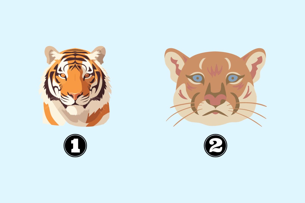 ¿Qué te llama más la atención, el tigre o el puma?