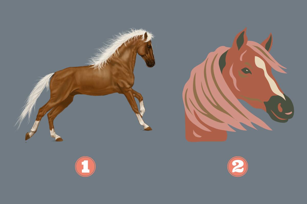 Descubre qué dice de ti el caballo que eliges.