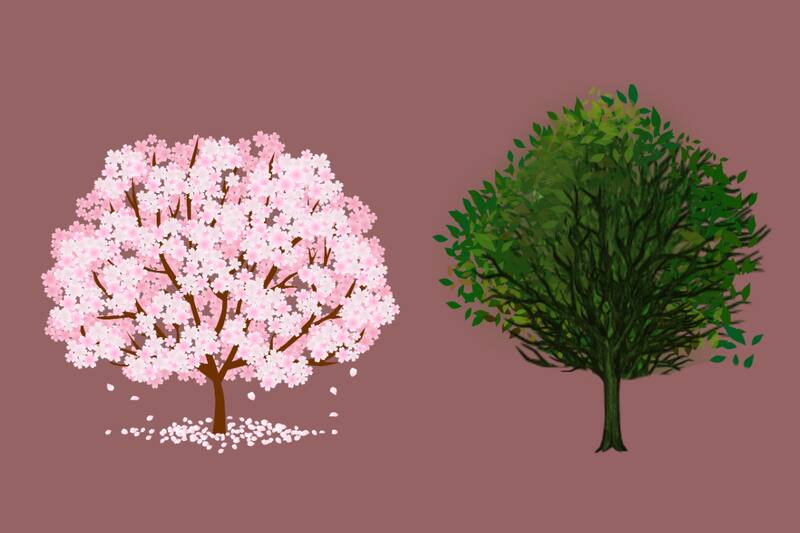 ¿Ciruelo o Nogal, qué árbol te identifica más?