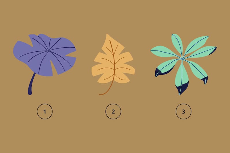 ¿Qué dice de ti la flor que elijas?