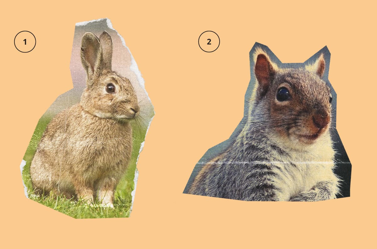 Test de personalidad: ¿Eres alguien que tiende a ponerse ansioso?